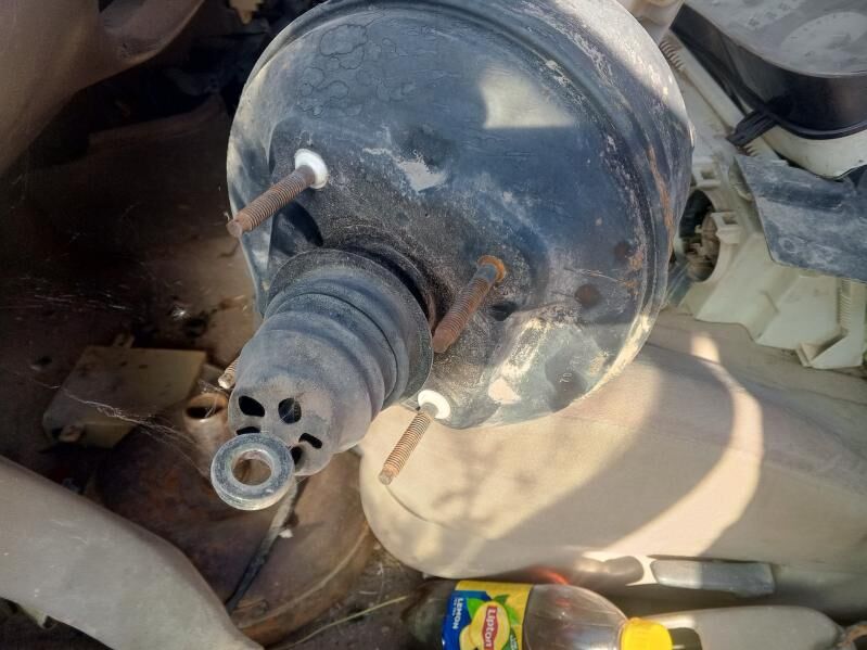 morda 100 TMT - Daşoguz - img 3