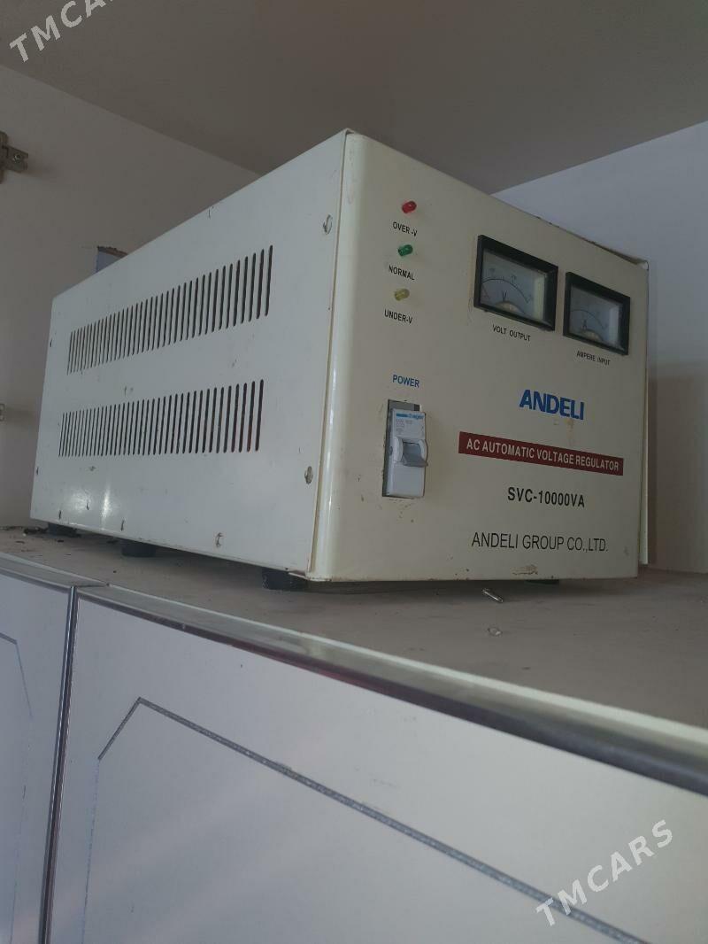 Tok kopeltyan - Daşoguz - img 1