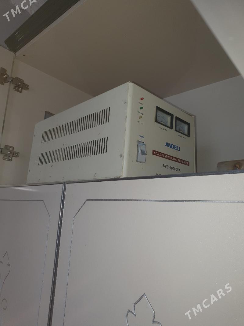 Tok kopeltyan - Daşoguz - img 2