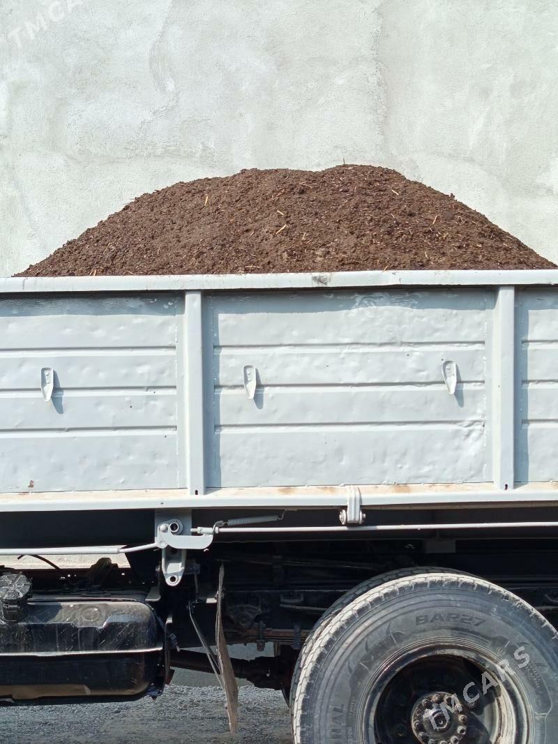 Deris - Çoganly - img 4