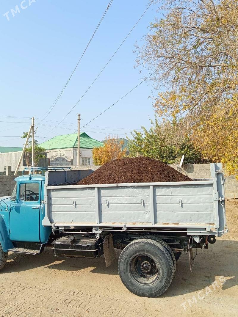 Deris - Çoganly - img 3