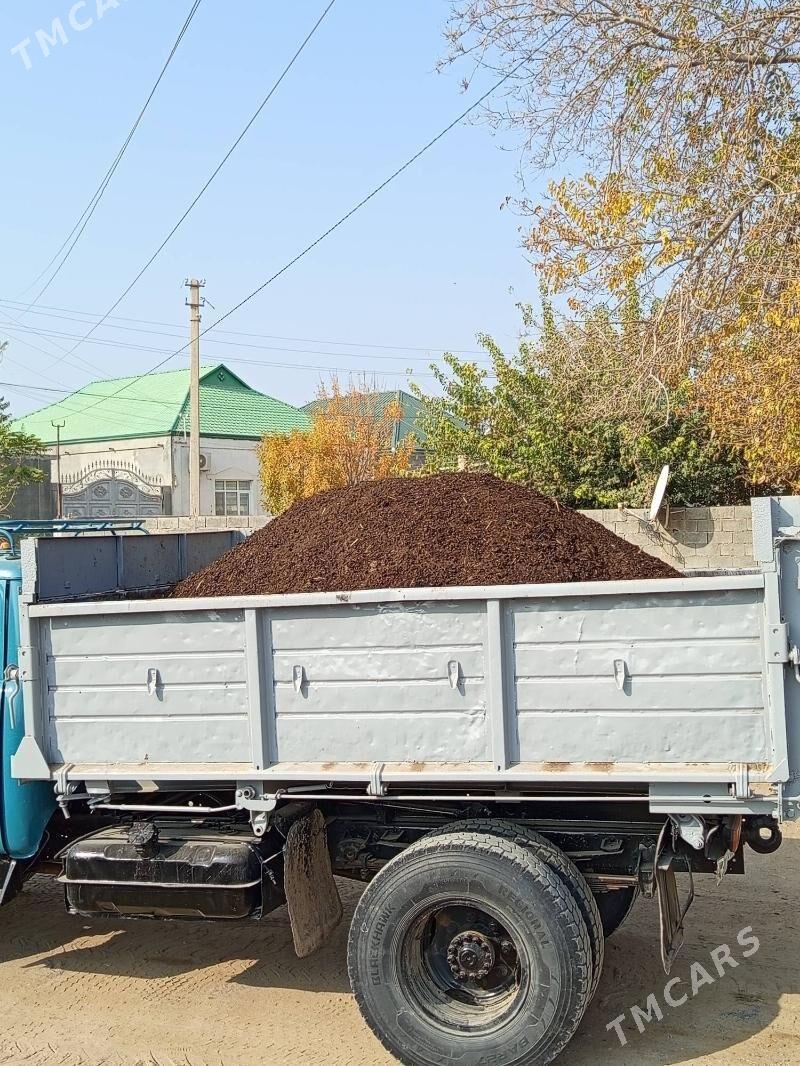 Deris - Çoganly - img 1