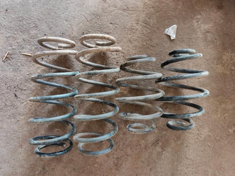 purzin 300 TMT - Гурбансолтан Едже - img 1