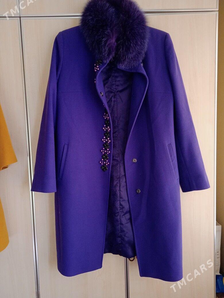 aeginal palto - Мир 4 - img 3