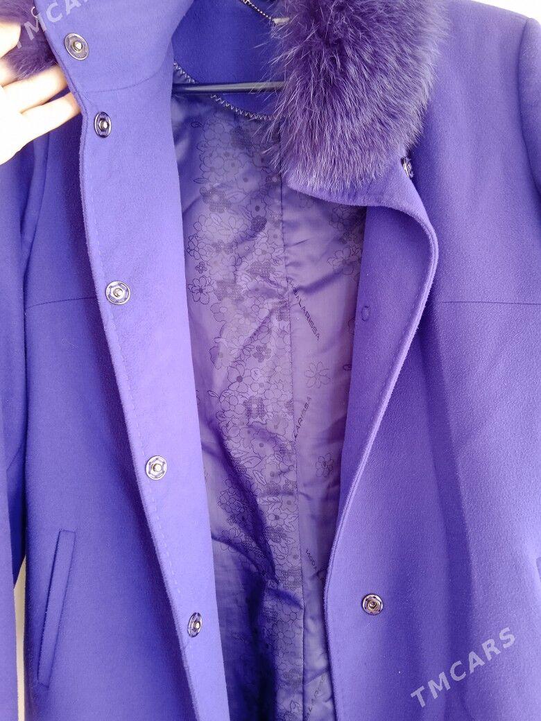 aeginal palto - Мир 4 - img 2