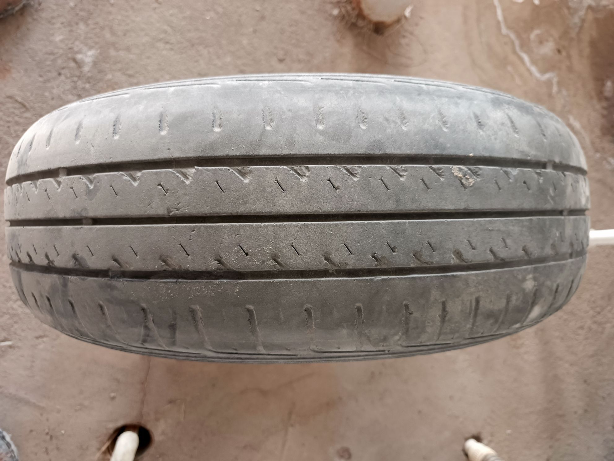 teker 50 TMT - Gurbansoltan Eje - img 1