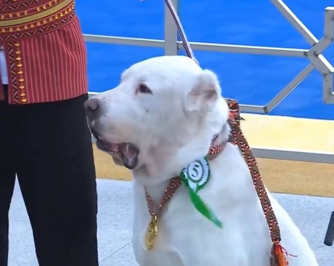 Gujik - Aşgabat - img 7