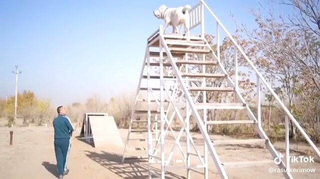 Gujik - Aşgabat - img 8