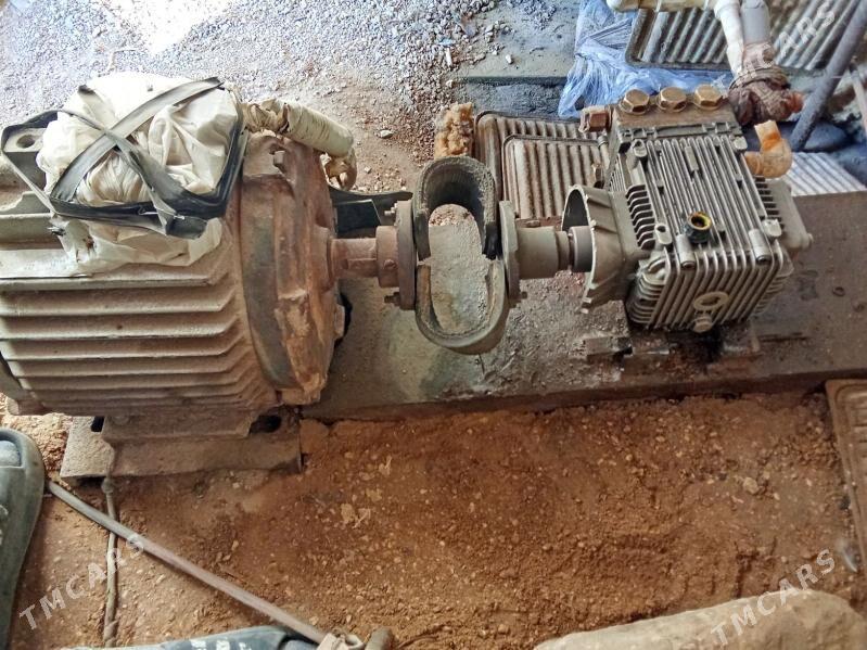 Moyka - Гумдаг - img 2