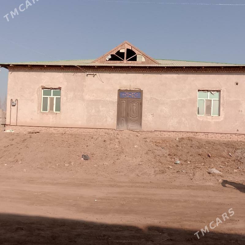 jay - Daşoguz - img 9