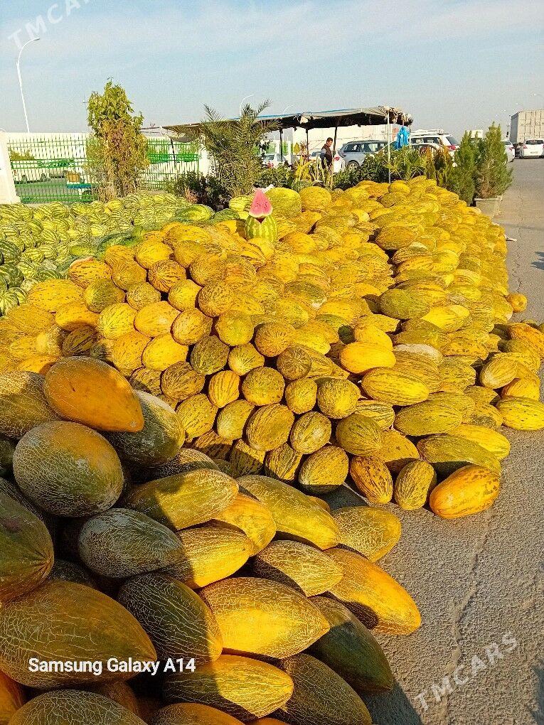 isgar - "Altyn Asyr" Gündogar bazary (Jygyllyk) - img 2