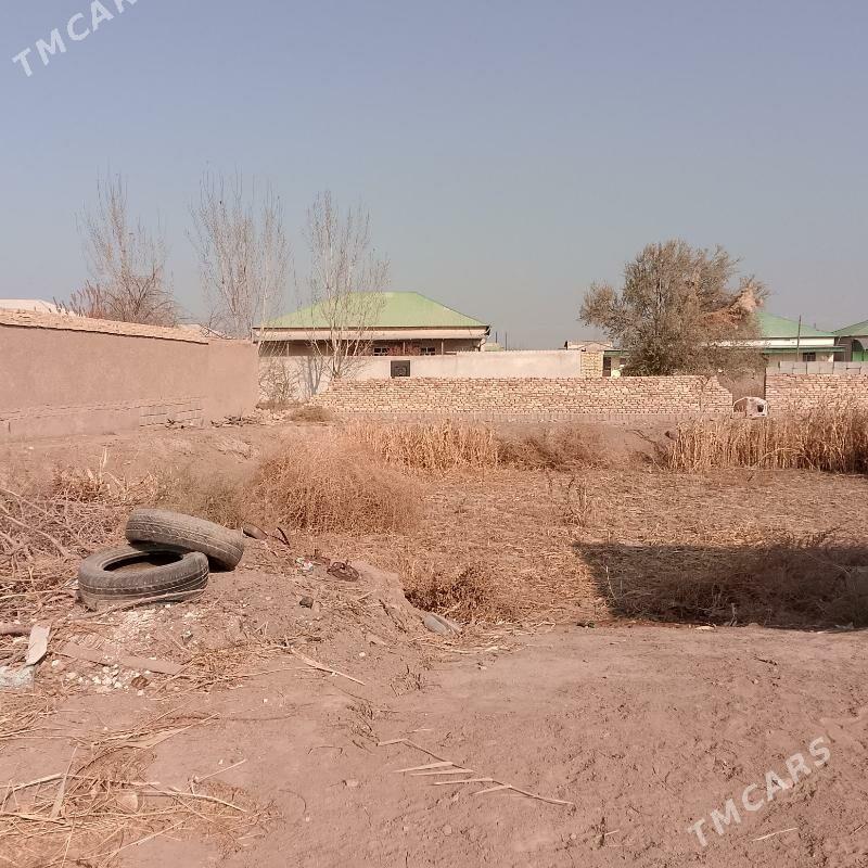 jay - Daşoguz - img 7