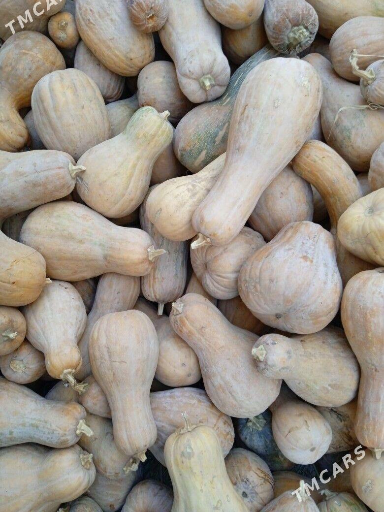 kadi - Sarahs - img 2