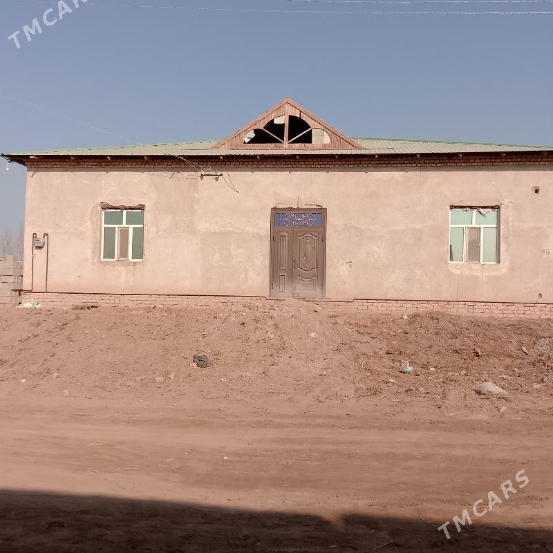 jay - Daşoguz - img 10