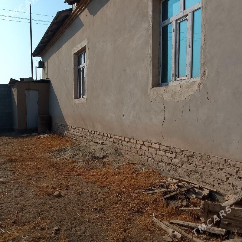 jay - Daşoguz - img 6