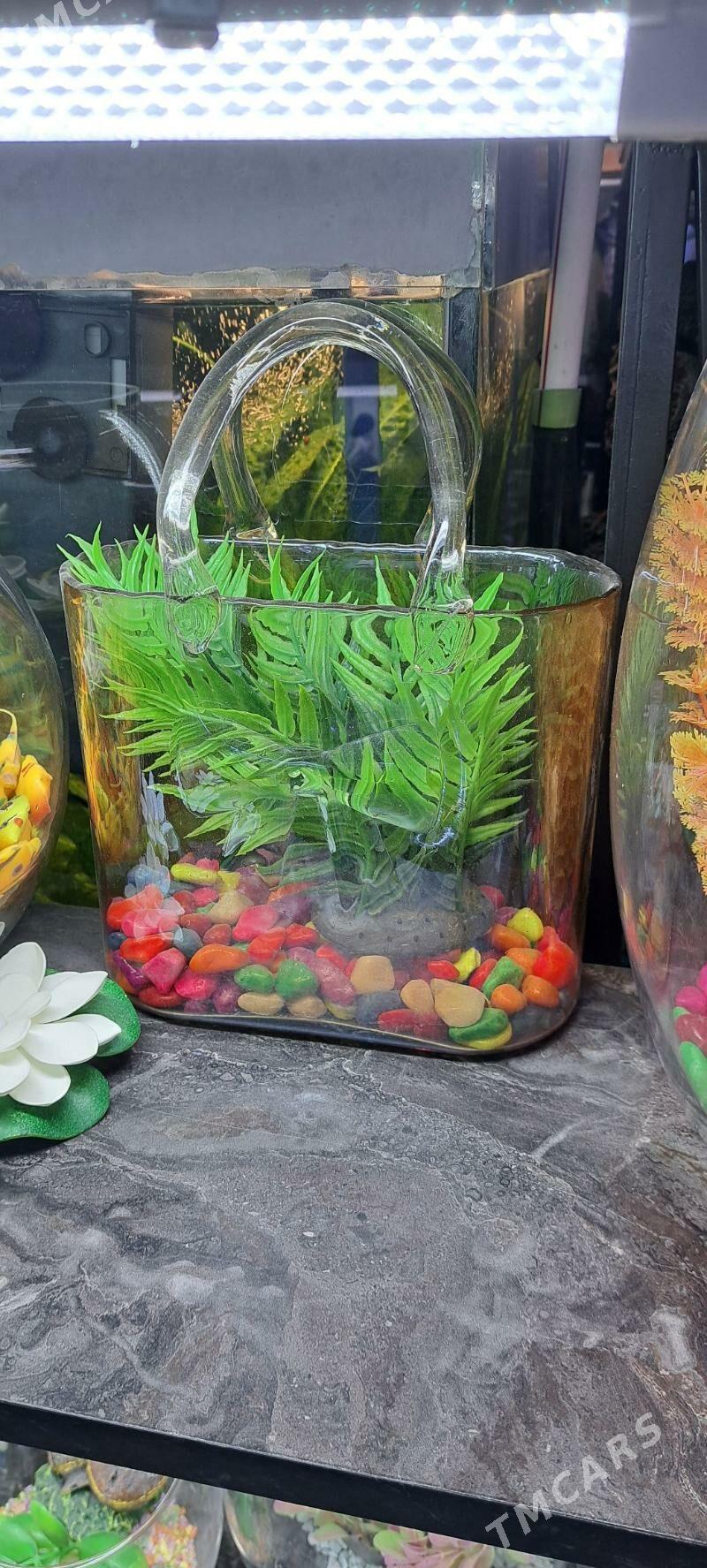 настольные аквариумы - Ашхабад - img 1