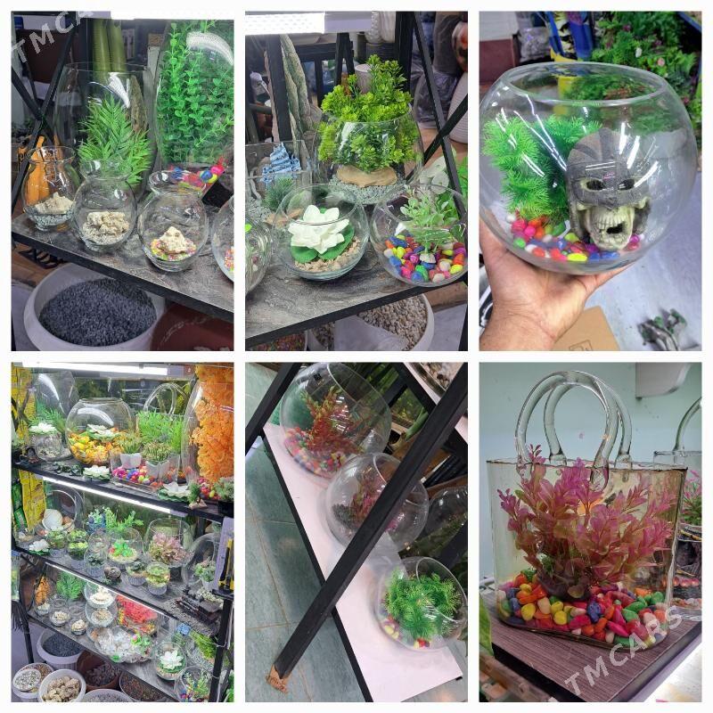 настольные аквариумы - Ашхабад - img 7
