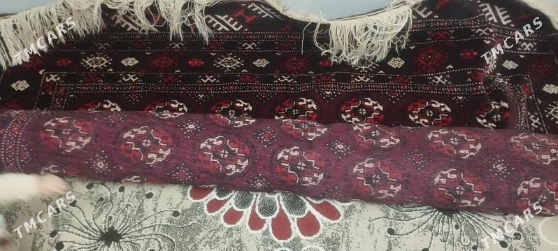 el haly - Мир 7 - img 2