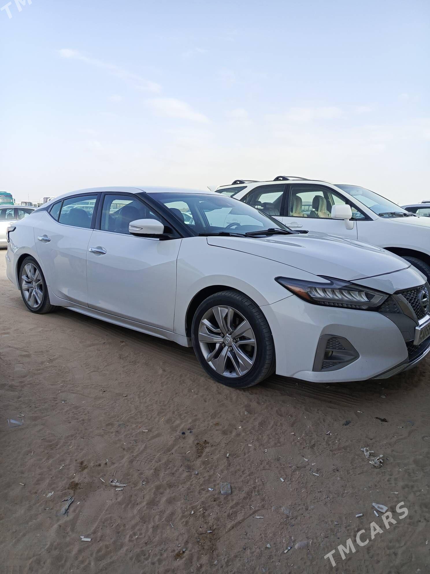 Nissan Maxima 2020 - 210 000 TMT - Чоганлы - img 3