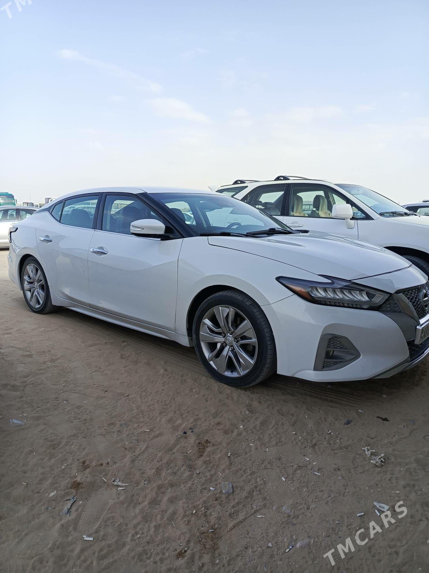 Nissan Maxima 2020 - 210 000 TMT - Чоганлы - img 2