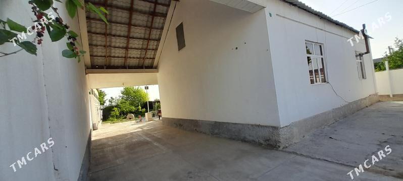 Bagyr - Ашхабад - img 8