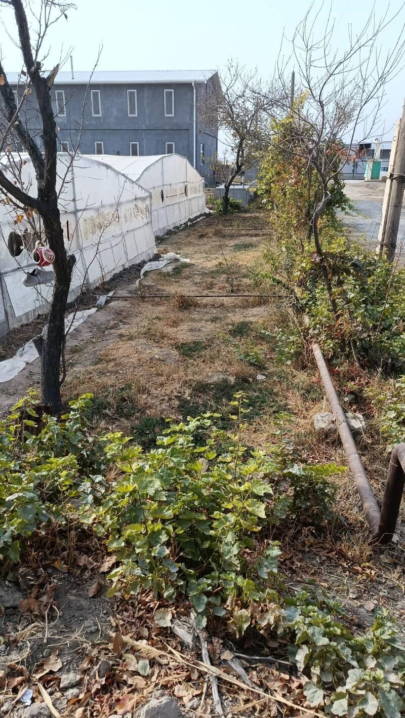 mellek yer kanal gyra - Мары - img 4