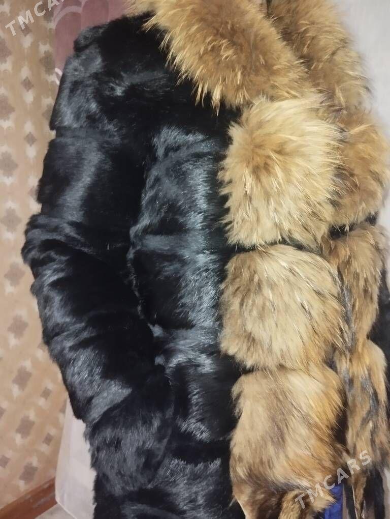 Suba - Balkanabat - img 2