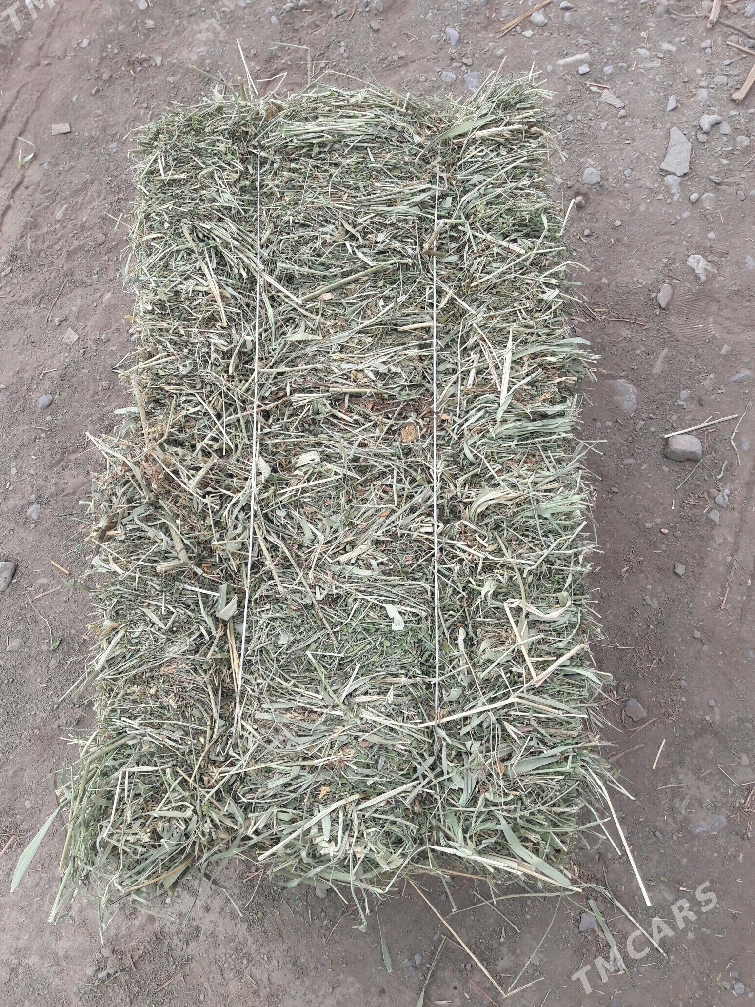 Ýorunja - Бахарден - img 2