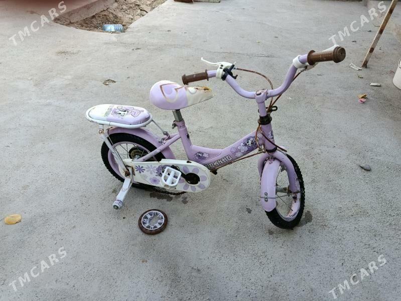 tigir - Анев - img 1