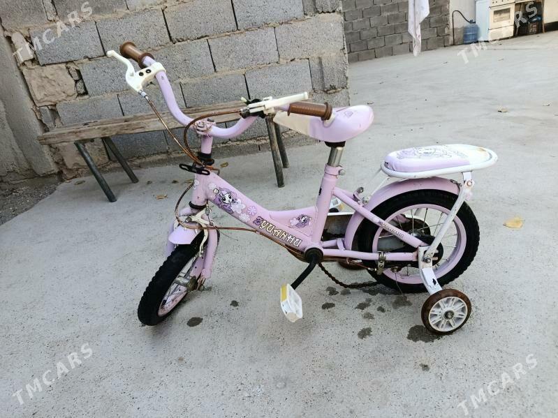 tigir - Анев - img 2