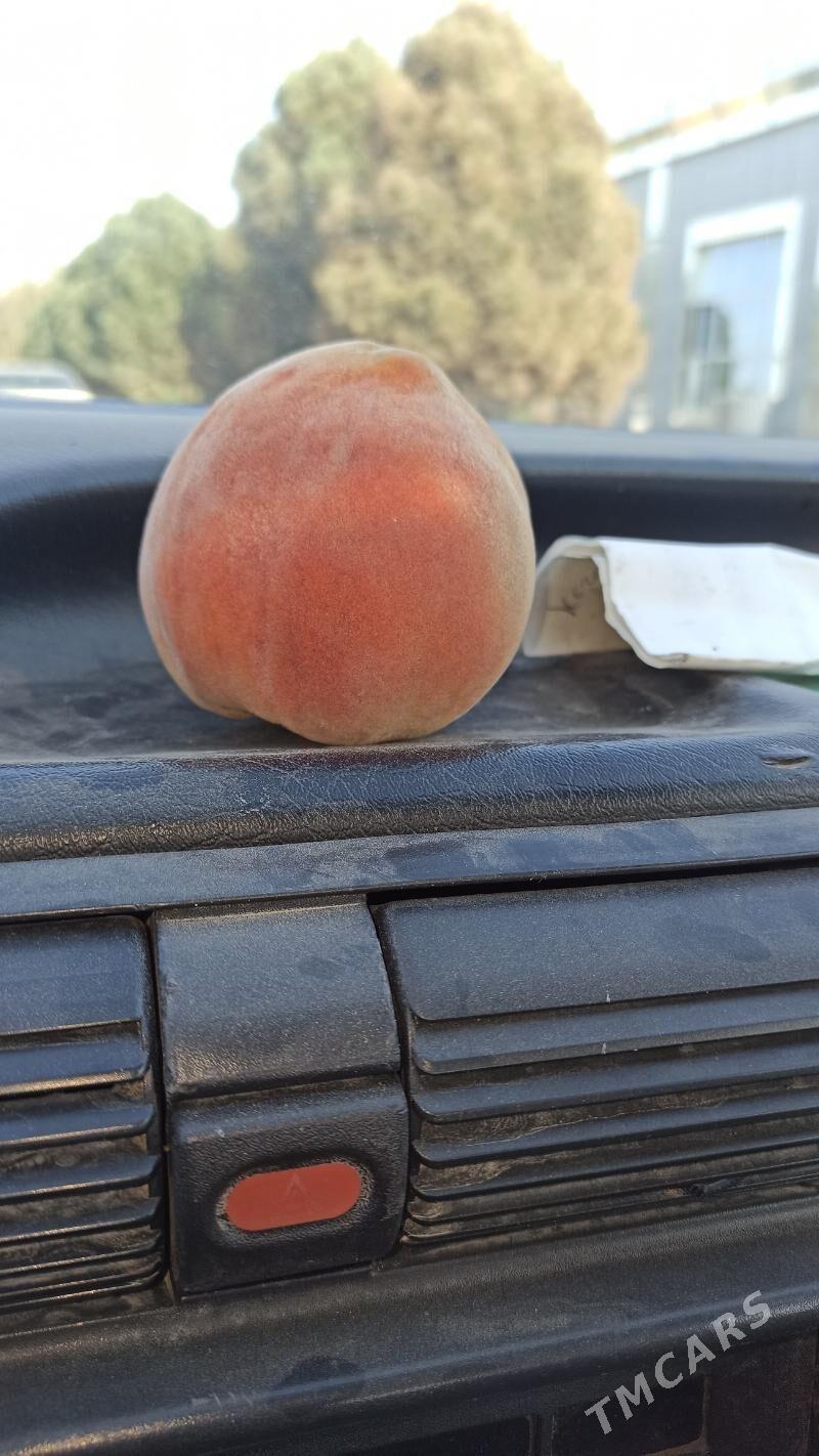 SAPYLAN NAHAL - Baýramaly - img 5