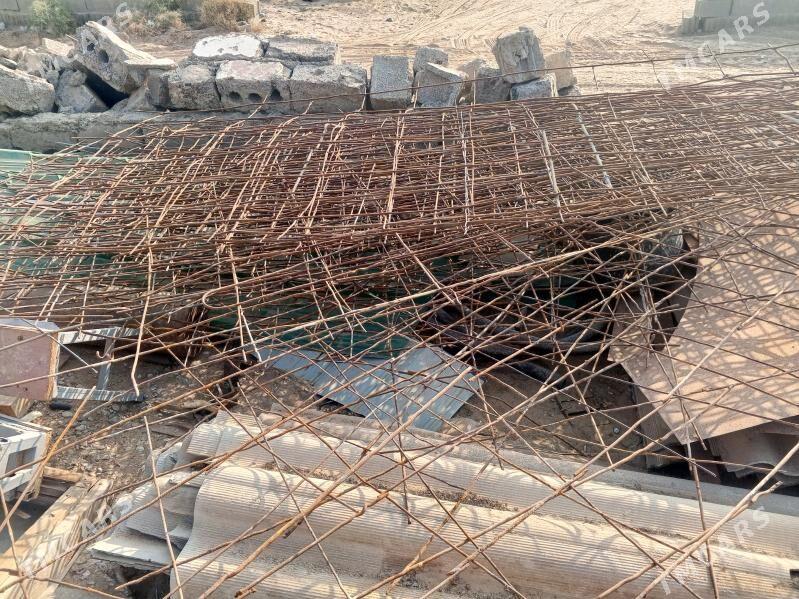 demir pacak setga - Büzmeýin - img 2