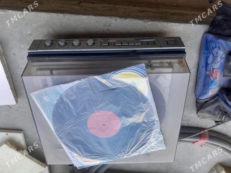 proigrywatel - Багир - img 2