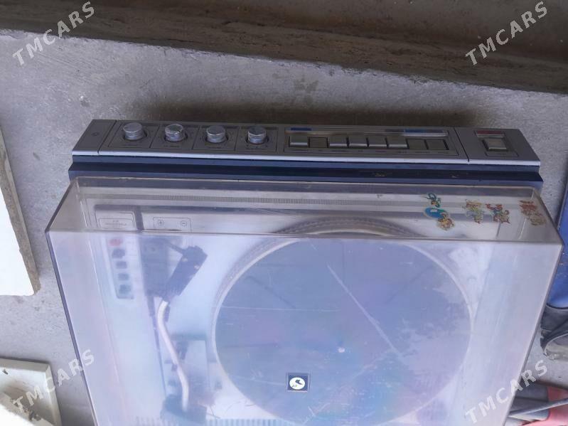 proigrywatel - Багир - img 3