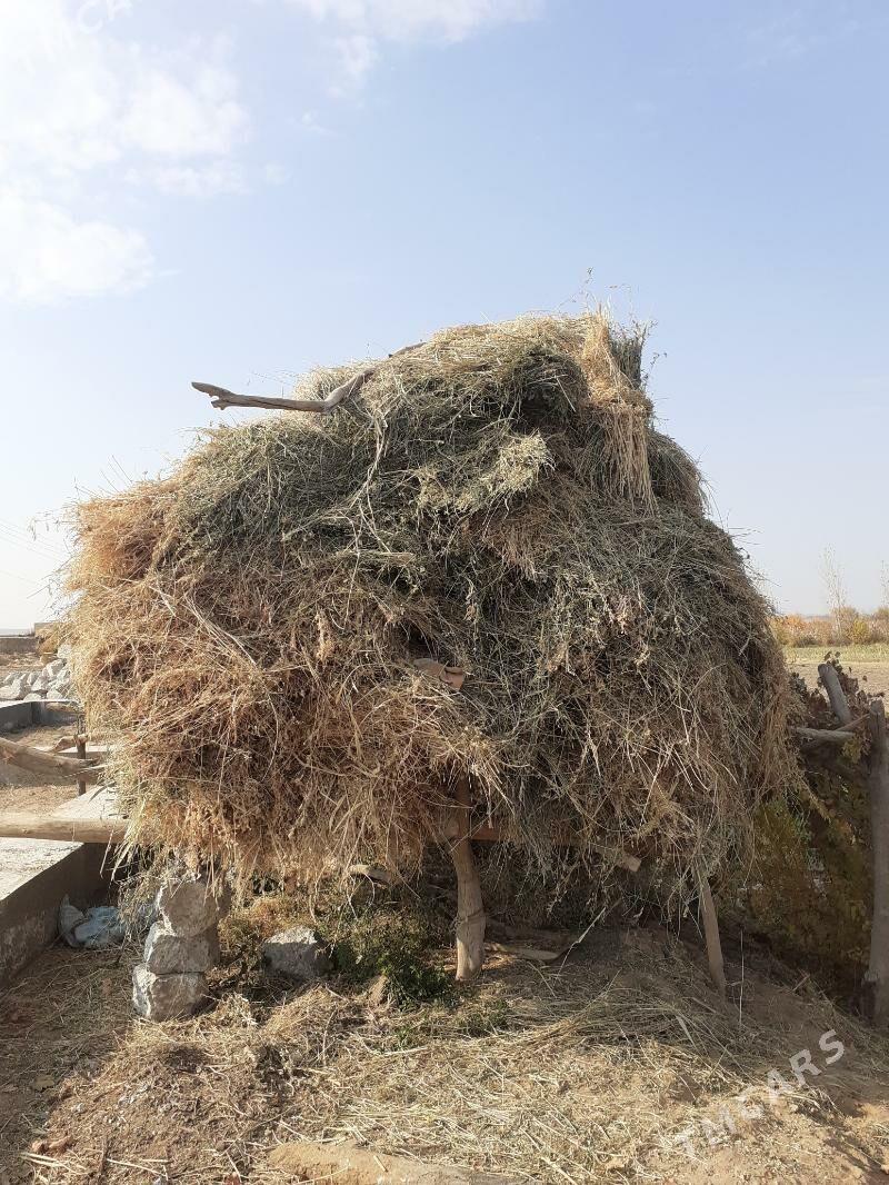 ot - Фарап - img 3