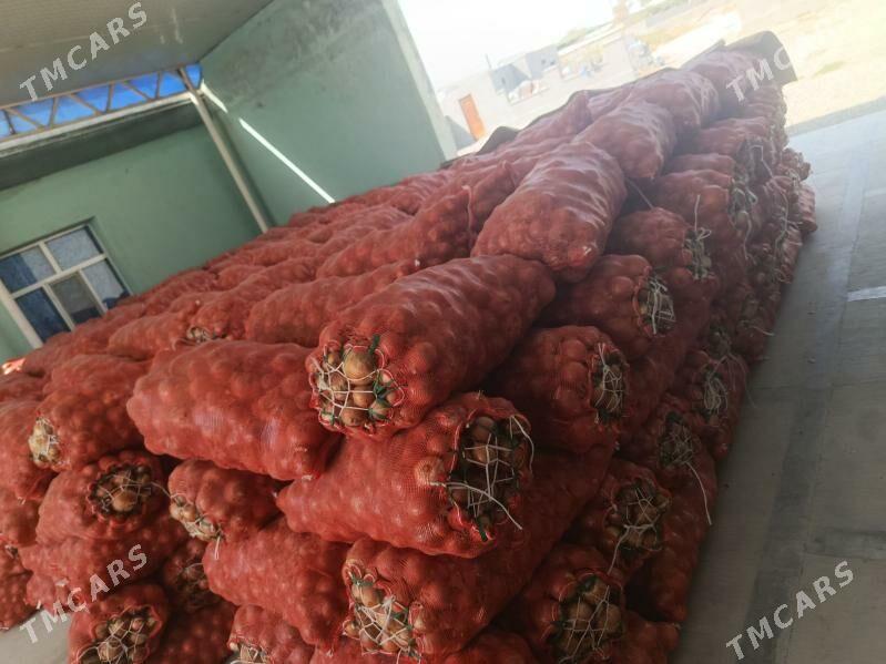 sogan - Бахарден - img 1