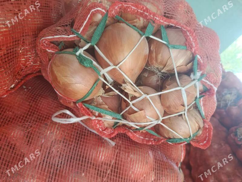 sogan - Бахарден - img 4