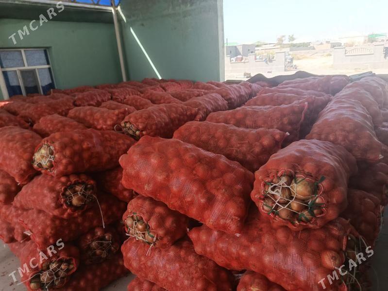 sogan - Бахарден - img 3