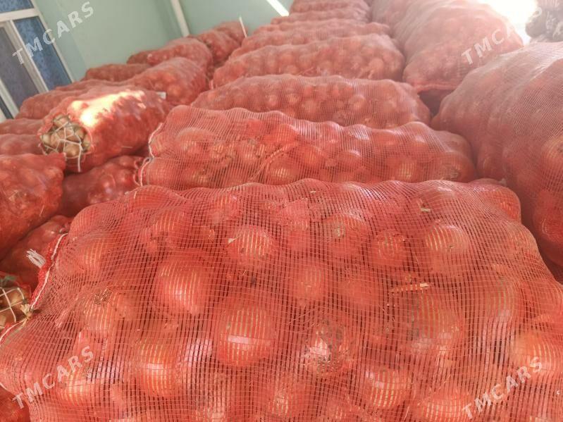 sogan - Бахарден - img 2