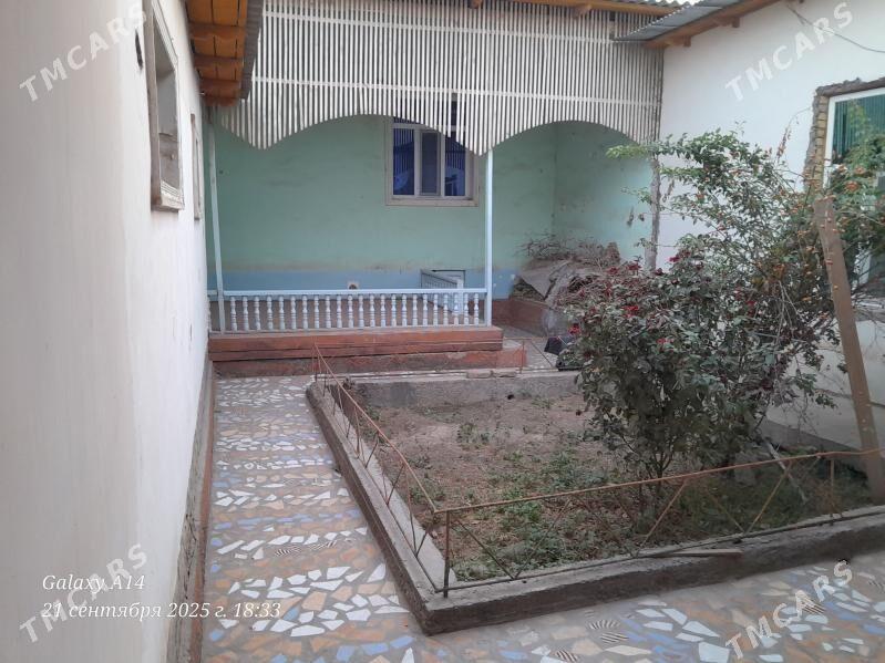 Cumni jay - Daşoguz - img 9