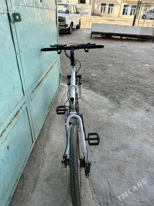 Welik - Туркменбаши - img 4