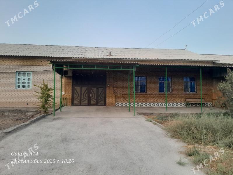 Cumni jay - Daşoguz - img 1