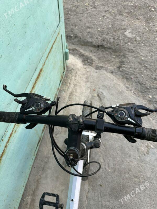 Welik - Туркменбаши - img 6