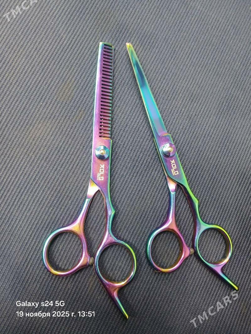 Gaÿçy Delekçilere - Daşoguz - img 2