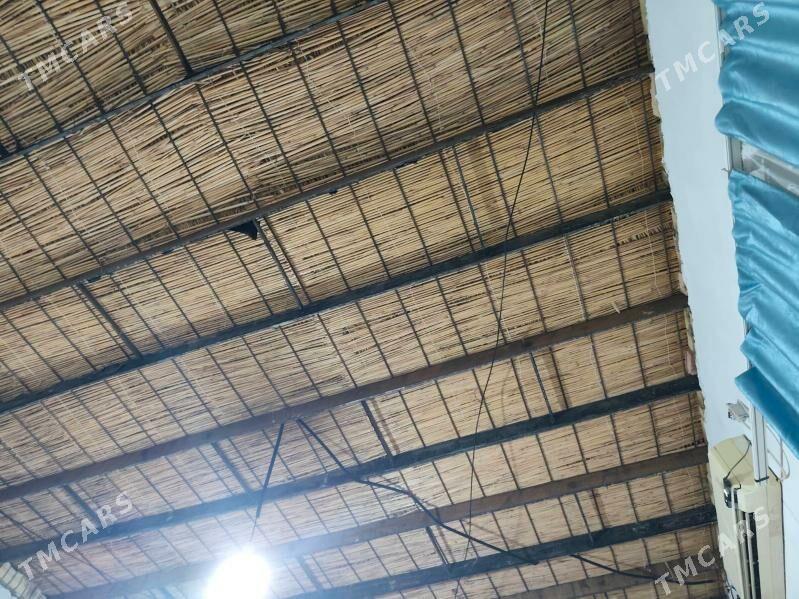 JAÝ SATLIK - Daşoguz - img 10