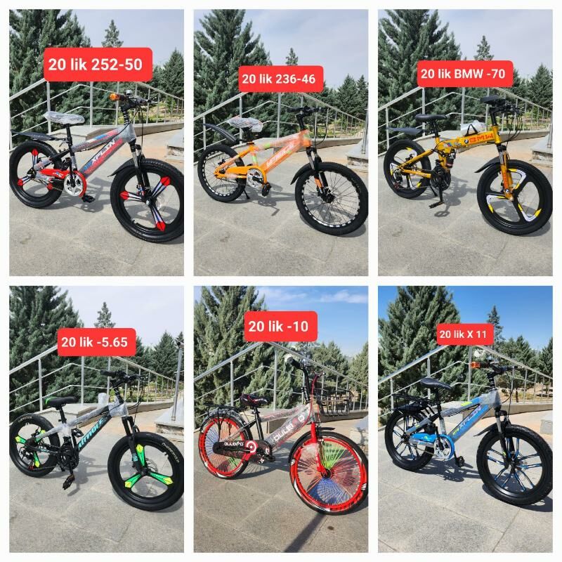 TIGIR SKEYT SAMAKAT MATOR - Кëши - img 3