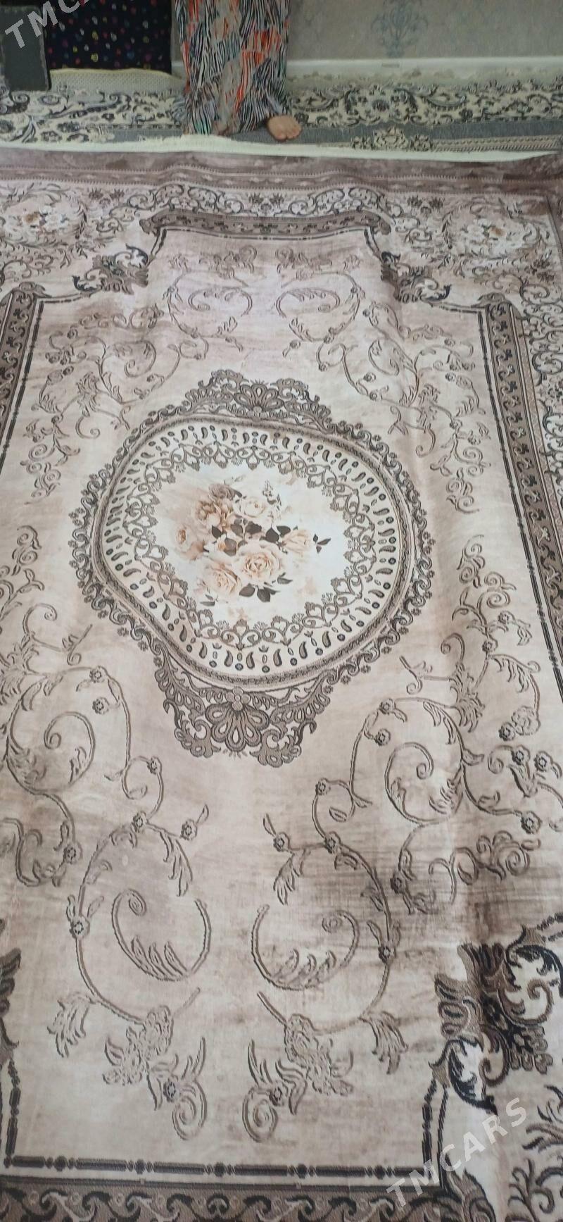 haly - Büzmeýin - img 4