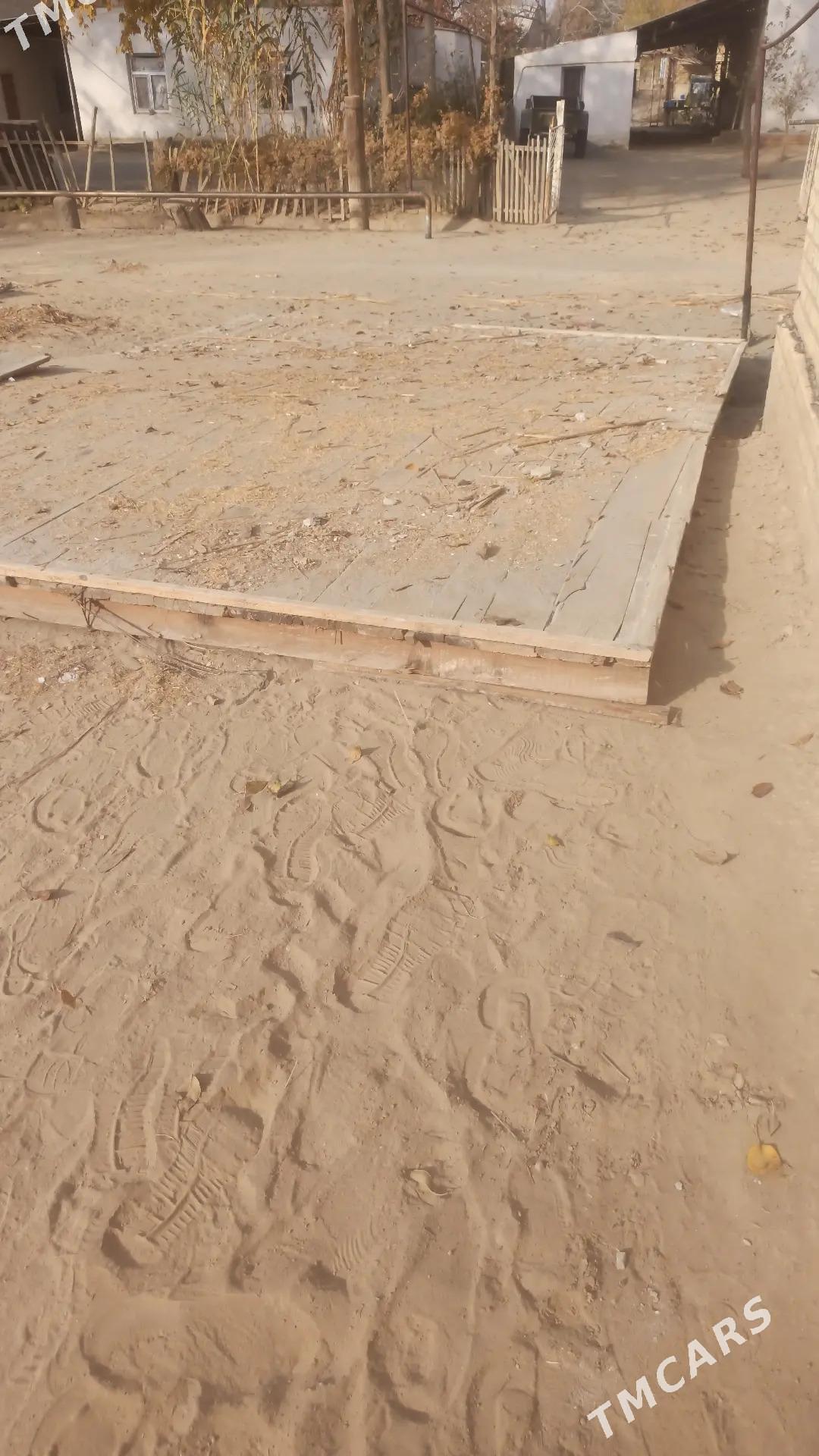 pollyk tagta - Kerki - img 2