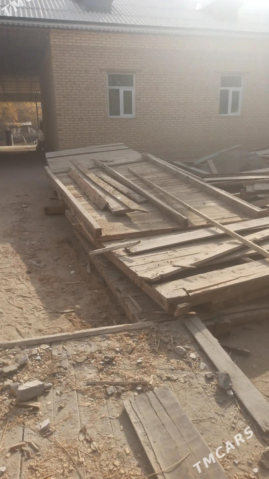 pollyk tagta - Kerki - img 6