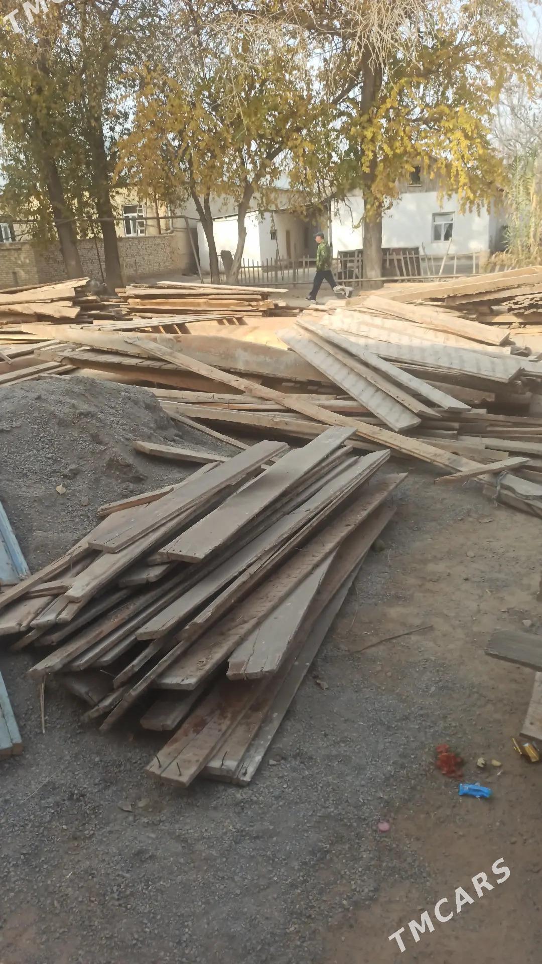 pollyk tagta - Kerki - img 4